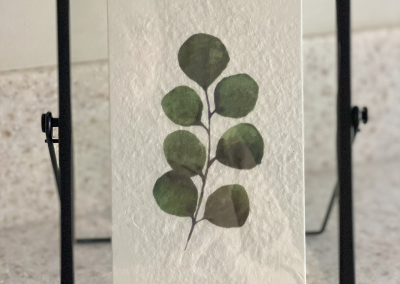 MBC gallery image 31